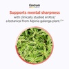 Centrum Clear Mind and Calm Mood Menopause Support Tablets, 30 Count(30 Count (Pack of 1))